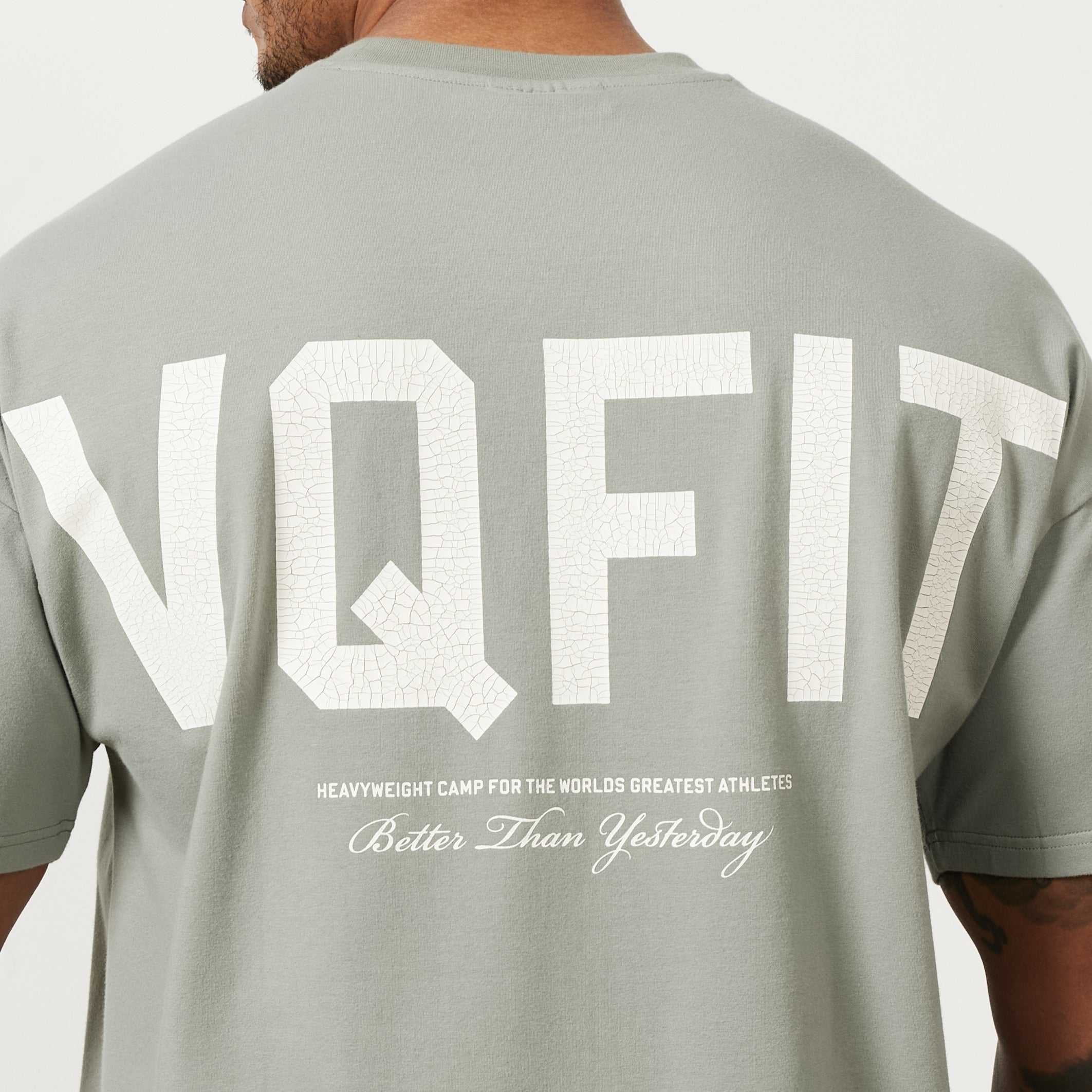 Vanquish – VQFIT – Übergroßes T-Shirt in Distressed-Optik in Desert Sage
