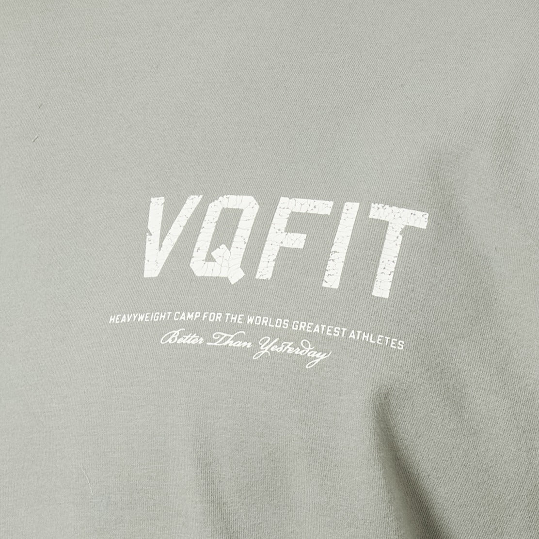 Vanquish – VQFIT – Übergroßes T-Shirt in Distressed-Optik in Desert Sage