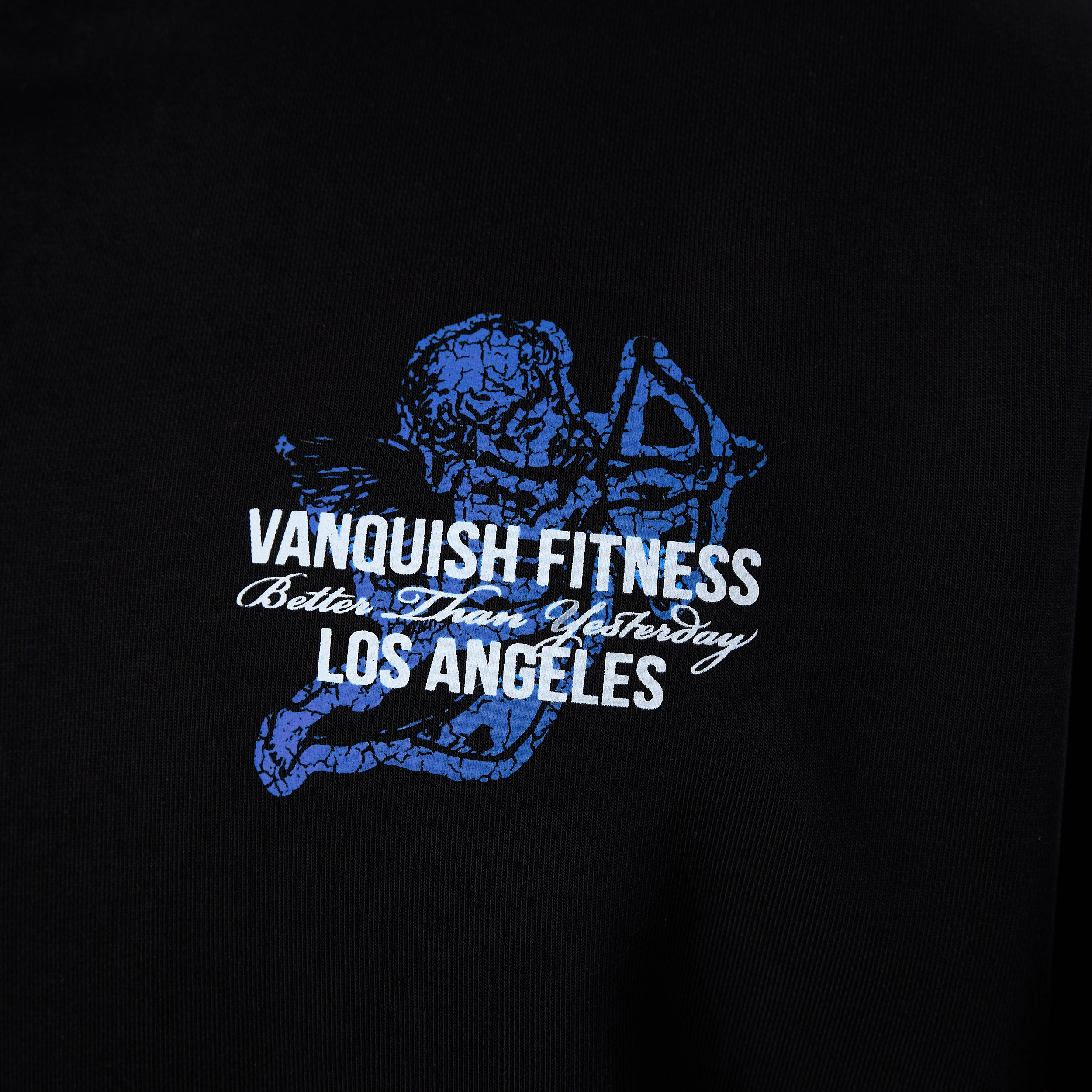 Vanquish TSP Black Cherub Hoodie