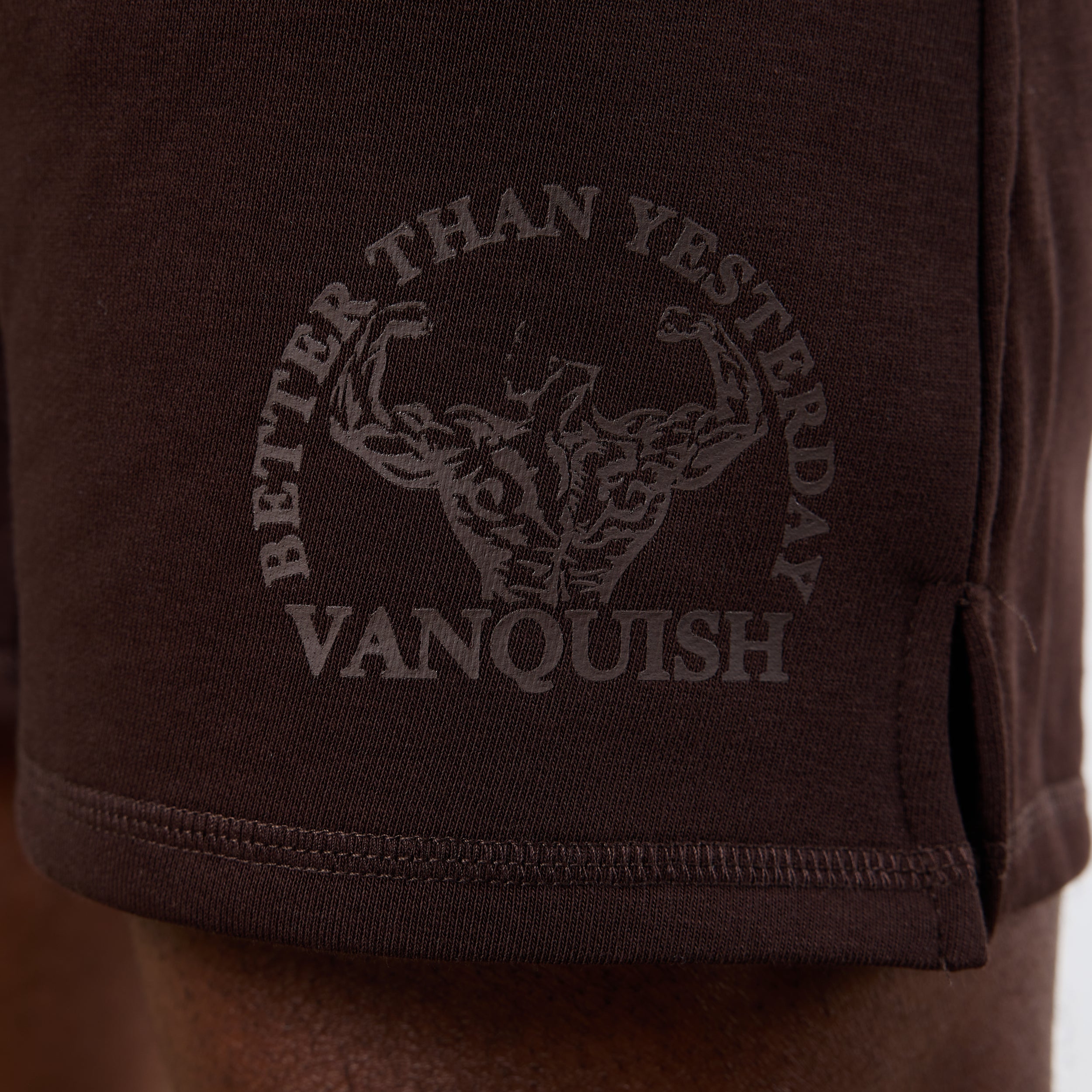 Vanquish – Unconquerable Strength – Shorts mit weitem Bein in Dunkelbraun