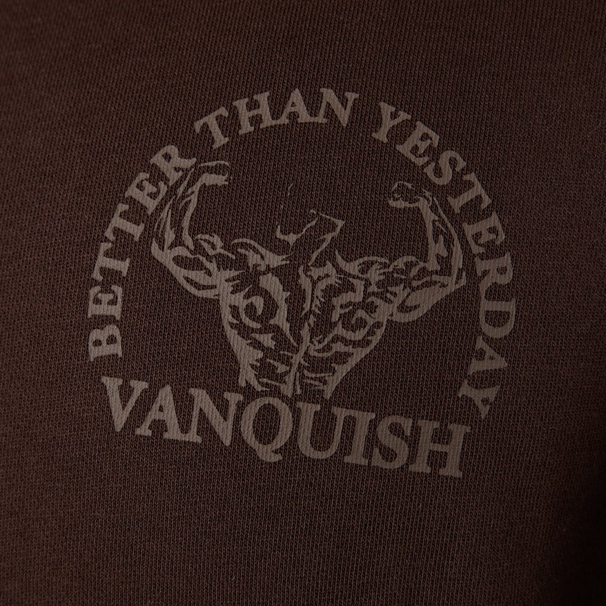 Vanquish – Dunkelbrauner Pullover „Unconquerable Strength“ mit Viertelreißverschluss