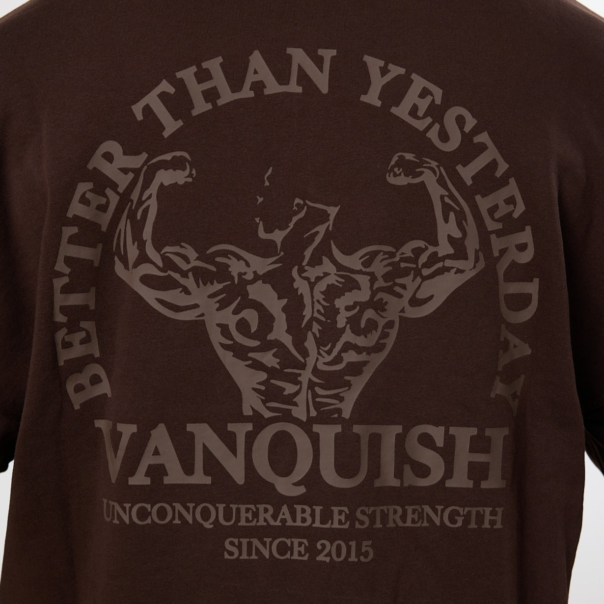 Vanquish – Dunkelbrauner Pullover „Unconquerable Strength“ mit Viertelreißverschluss