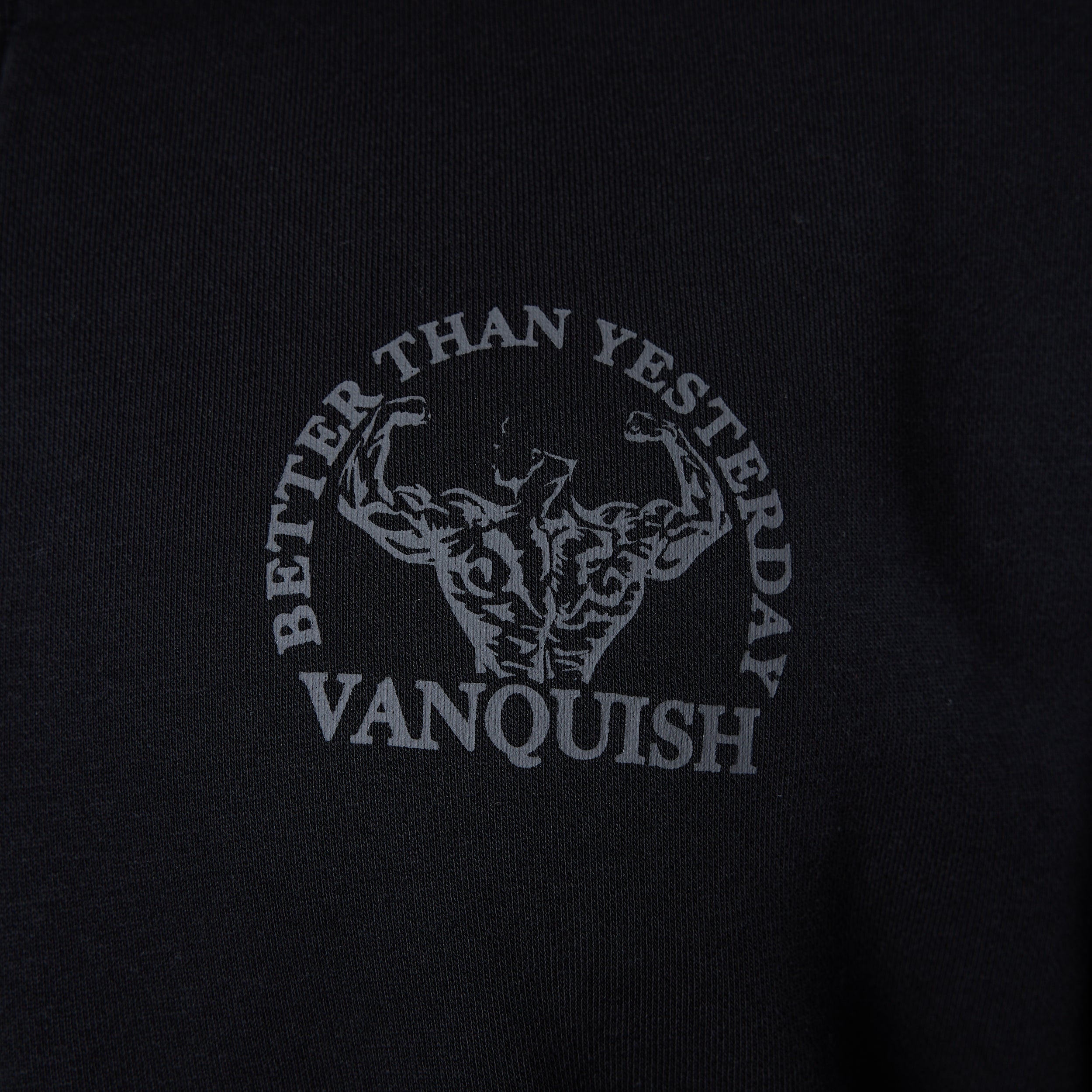 Vanquish – Pullover „Unconquerable Strength“ in Schwarz mit Viertelreißverschluss