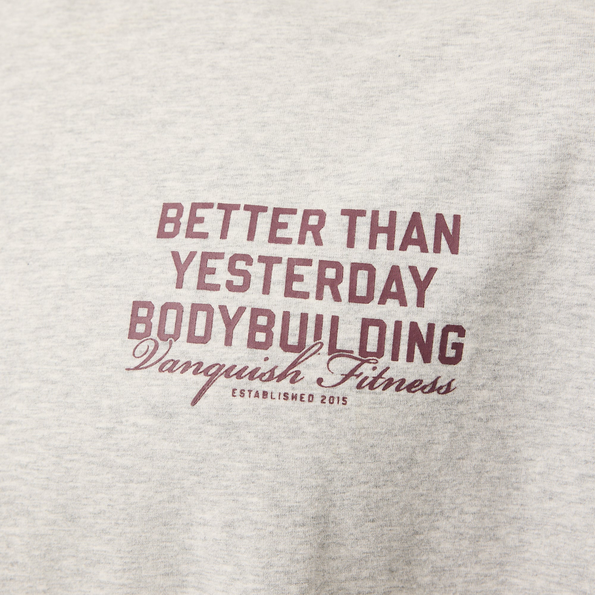 Vanquish Bodybuilding – Übergroßes, kastiges T-Shirt in Hafermel